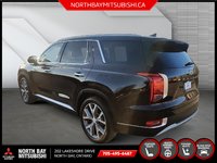 2022 Hyundai PALISADE LUXURY-3