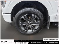 2023 Ford F-150 Lariat-7