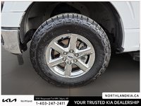 2024 Ford F-150 XLT-6