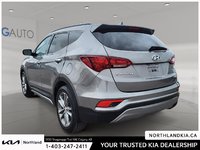 2017 Hyundai Santa Fe Sport 2.0T-1