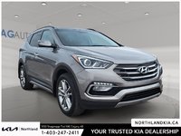 2017 Hyundai Santa Fe Sport 2.0T-4