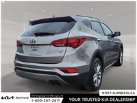 2017 Hyundai Santa Fe Sport 2.0T-3