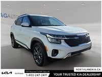 2025 Kia Seltos EX-4