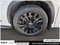 2024 Toyota Highlander XSE-6