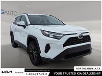 2023 Toyota RAV4 XLE-4