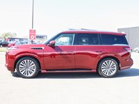 2025 Infiniti QX80 SENSORY-4