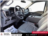 2025 Ford F-150 XLT-7