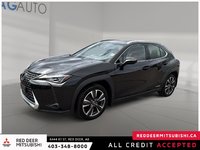 2021 Lexus UX 250h-0