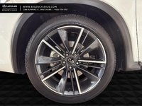 2025 Infiniti Qx50 Sport SPORT-1