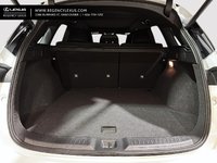 2025 Infiniti Qx50 Sport SPORT-6