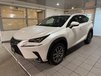2019 Lexus NX 300-0