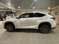 2019 Lexus NX 300 AWD Luxury-2