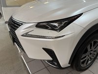2019 Lexus NX 300-3