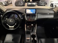 2019 Lexus NX 300-7