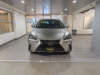 2020 Lexus NX 300-1