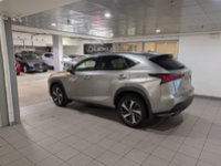 2020 Lexus NX 300-2