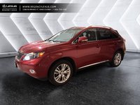 2010 Lexus RX-0