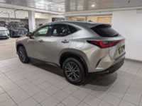 2022 Lexus NX 250-1