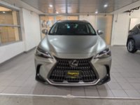 2022 Lexus NX 250-3