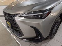 2022 Lexus NX 250-2