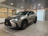 2023 Lexus NX 250-0