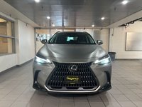 2023 Lexus NX 250-1