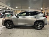 2023 Lexus NX 250-2