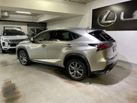 2021 Lexus NX 300-5
