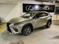 2021 Lexus NX 300-0