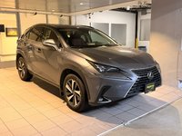 2021 Lexus NX 300-2