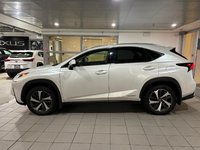 2020 Lexus NX 300h AWD NX 300h-2