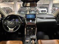 2020 Lexus NX 300h AWD NX 300h-4
