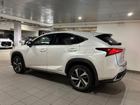 2020 Lexus NX 300h AWD NX 300h-3