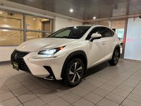 2020 Lexus NX 300h AWD NX 300h-0
