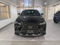 2022 Lexus NX 350-1