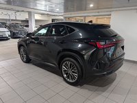 2022 Lexus NX 350-3