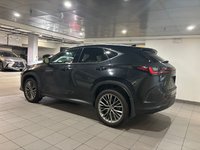 2022 Lexus NX 350-3
