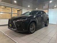 2022 Lexus NX 350-0