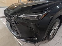2022 Lexus NX 350-2