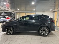 2022 Lexus NX 350-2