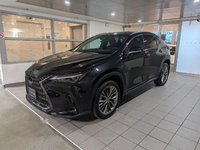 2022 Lexus NX 350-0