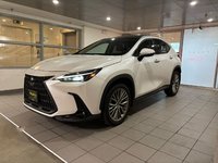 2023 Lexus NX 350-0