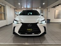 2023 Lexus NX 350-1