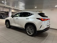 2023 Lexus NX 350-3