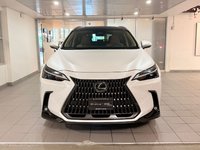 2024 Lexus NX 350-1