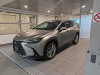 2024 Lexus NX 350 Ultra Premium-0