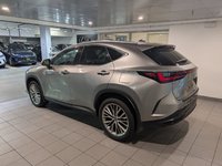 2024 Lexus NX 350 Ultra Premium-2