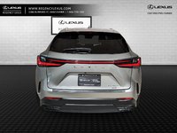 2025 Lexus NX 350-4