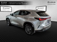 2025 Lexus NX 350-3