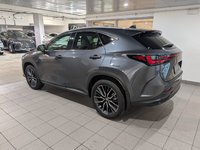 2025 Lexus NX 350-3